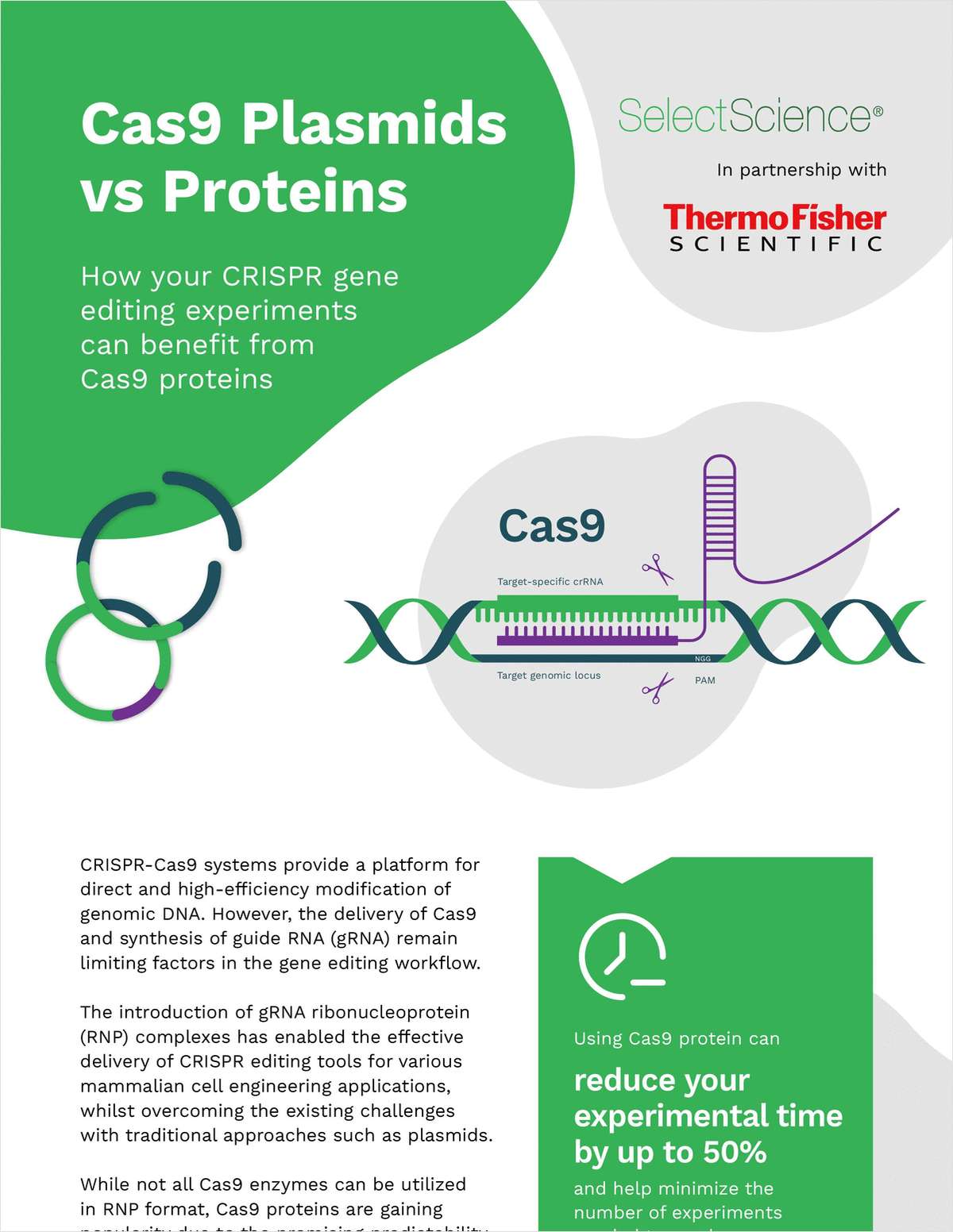 Cas9 Plasmids vs Proteins: How Your CRISPR Gene Editing Experiments Can Benefit from Cas9 Proteins