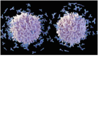 How Immunology Research & Treatments Are Evolving