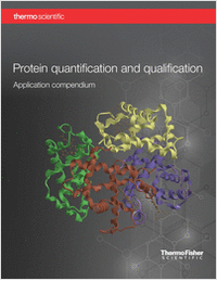 Protein quantification and qualification