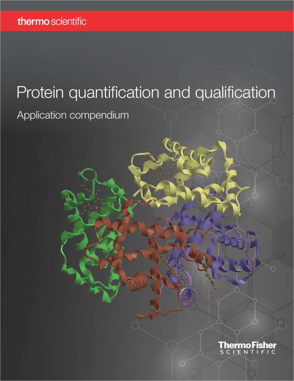 Protein quantification and qualification