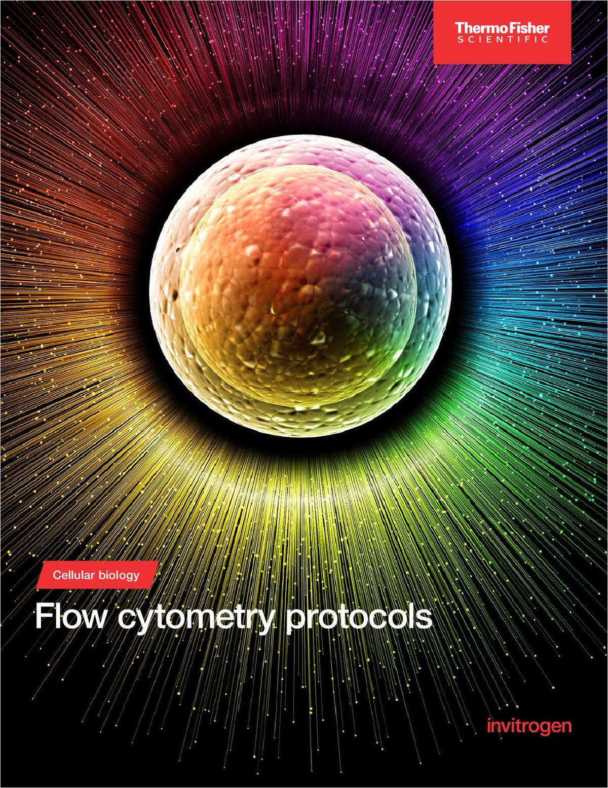 Flow cytometry protocols, practical insights, application data and more