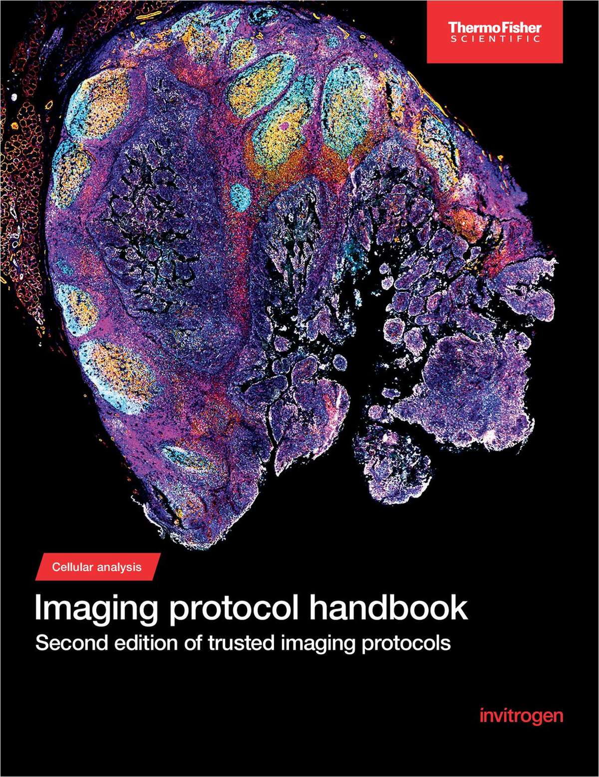 Imaging protocol handbook