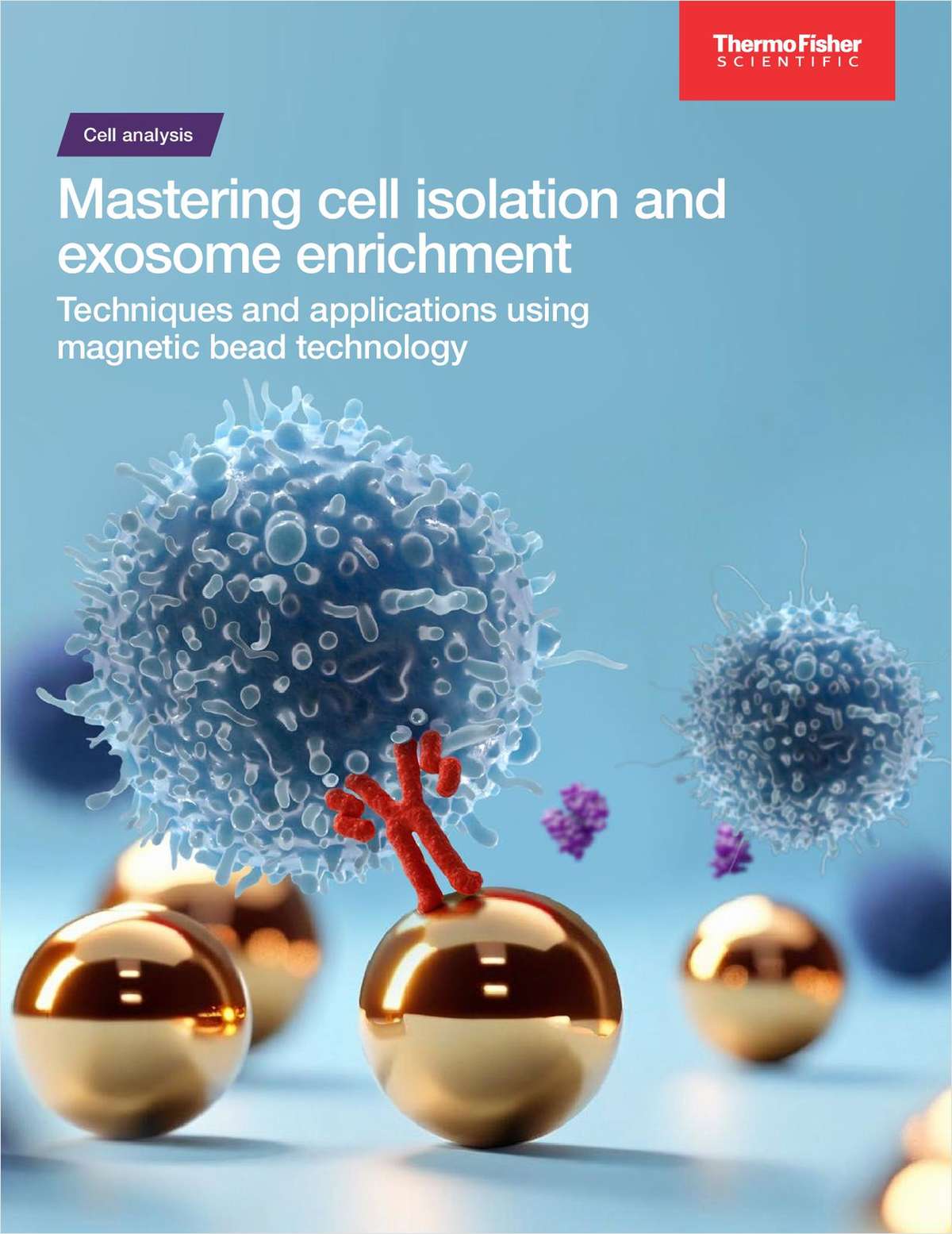 Mastering Cell Isolation and Exosome Enrichment