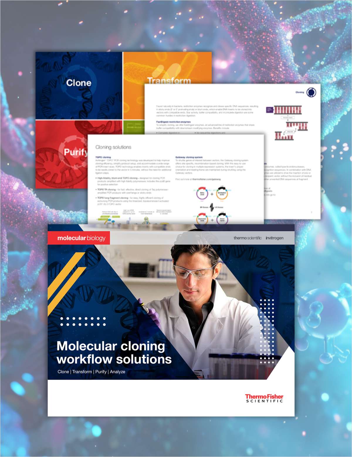 Molecular Cloning Workflow Solutions cover