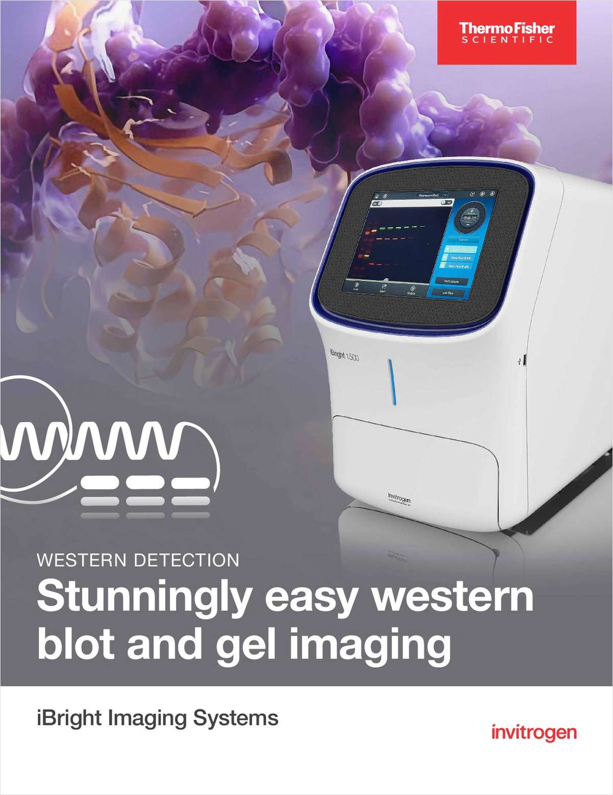 Stunningly Easy Western Blot and Gel Imaging Free Brochure
