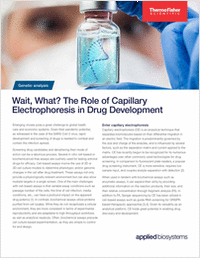 Wait, What? The Role of Capillary Electrophoresis in Drug Development