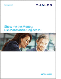 Show me the Money: Die Monetarisierung des IoT
