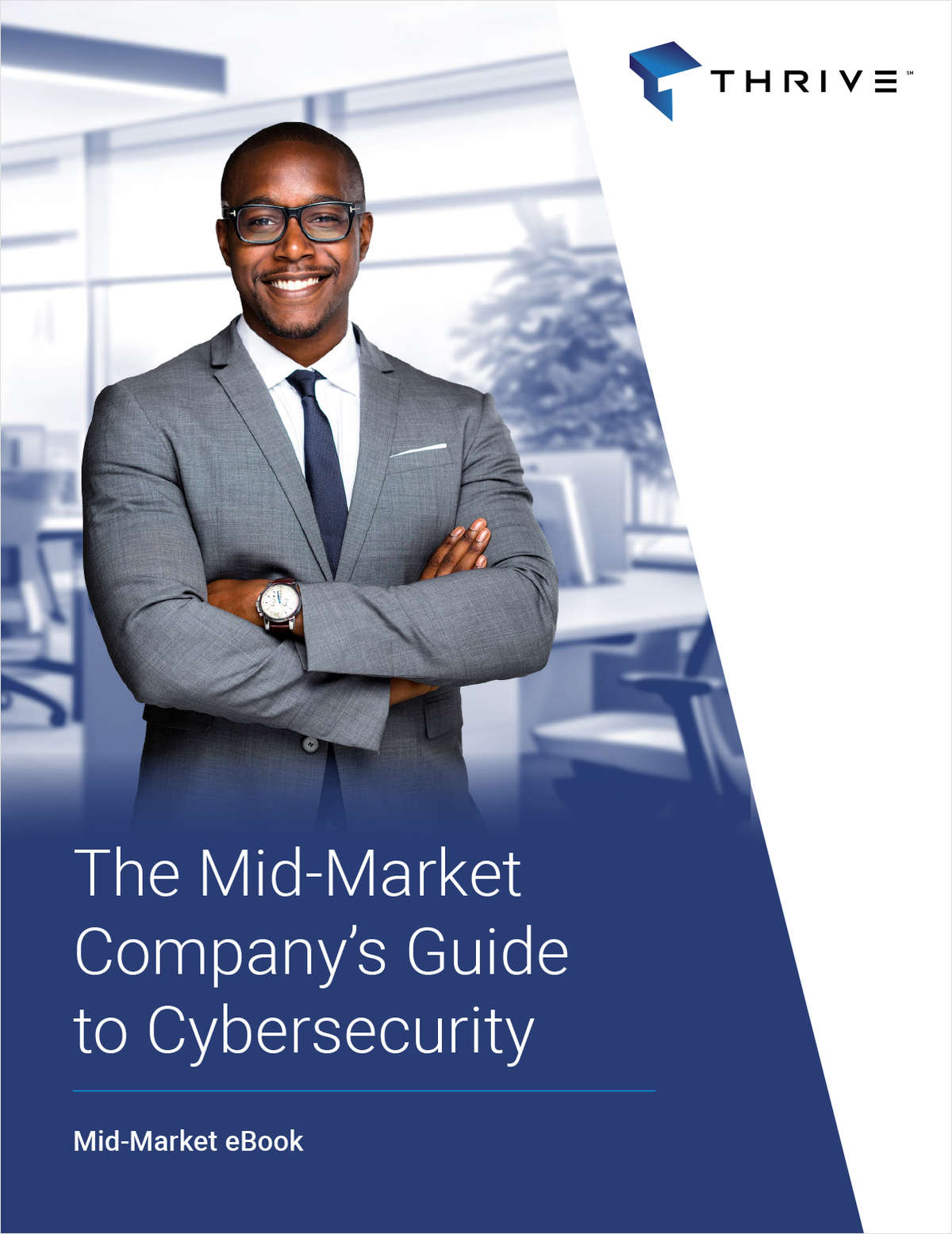 The Mid-Market Company's Guide to Cybersecurity