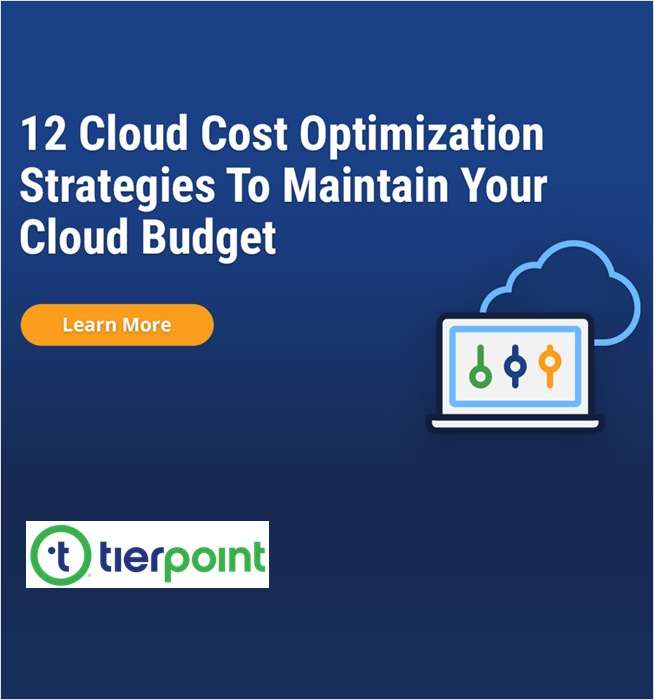 12 Cloud Cost Optimization Strategies To Maintain Your Cloud Budget