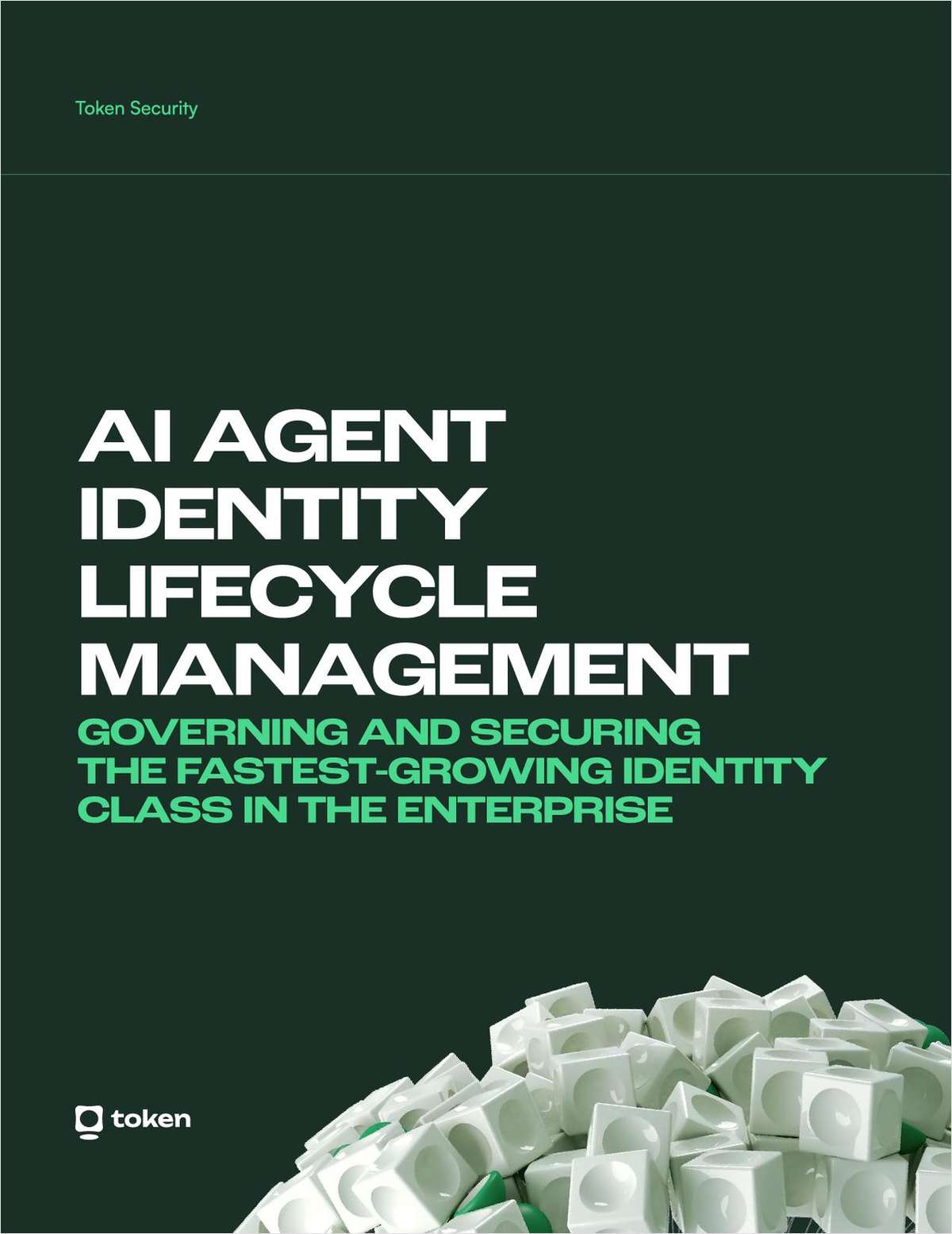 AI Agent Lifecycle Mangament eBook