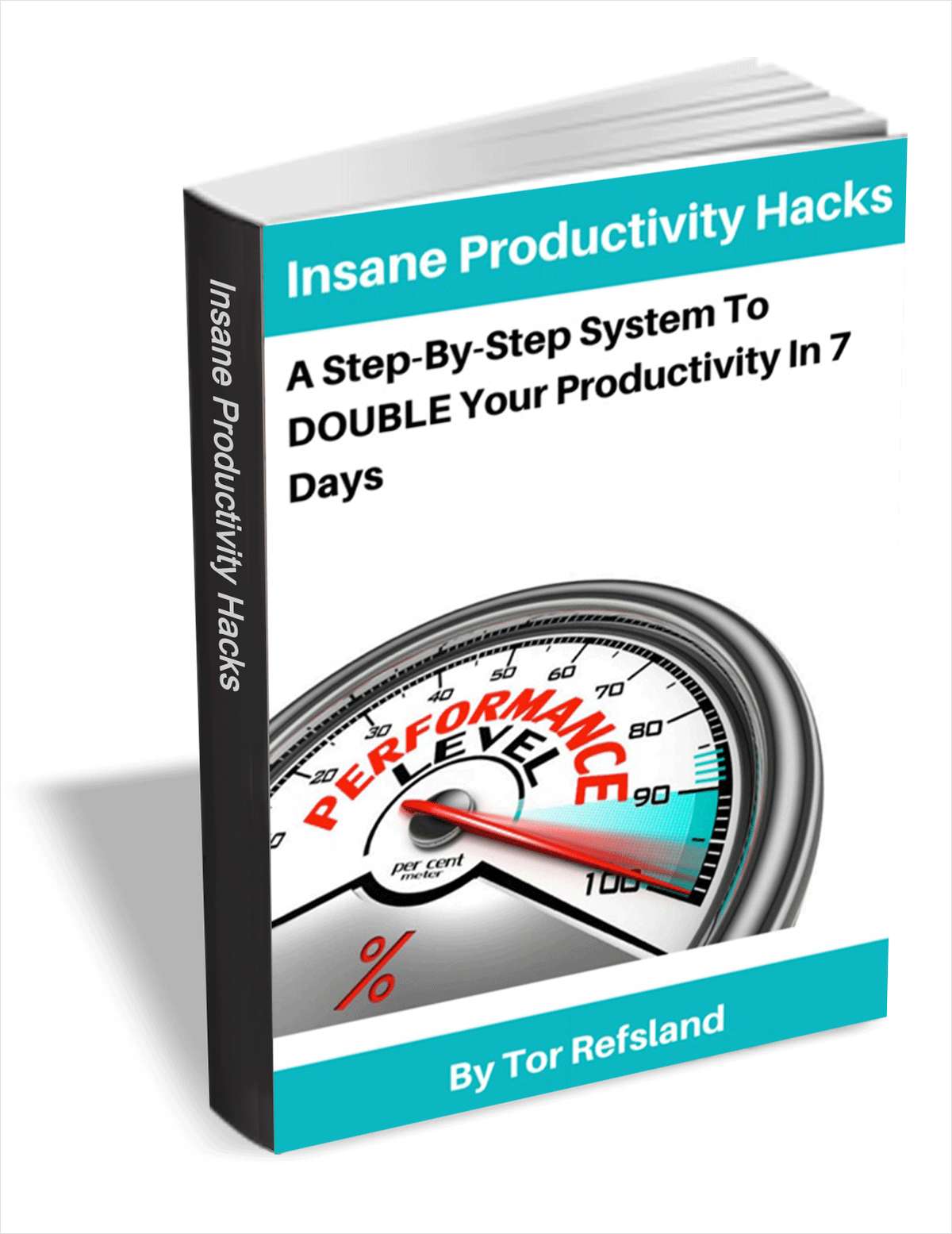 Insane Productivity Hacks A Step By Step System To Double Your