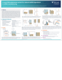 A novel RNA polymerase variant for reduced dsRNA byproducts in mRNA manufacturing