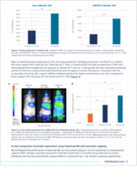 Impact of cap structures on the performance of in vitro-transcribed mRNAs