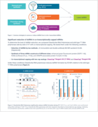 Reducing double-stranded RNA formation in in vitro transcription using a novel RNA polymerase