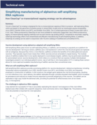 Simplifying manufacturing of alphavirus self-amplifying RNA replicons