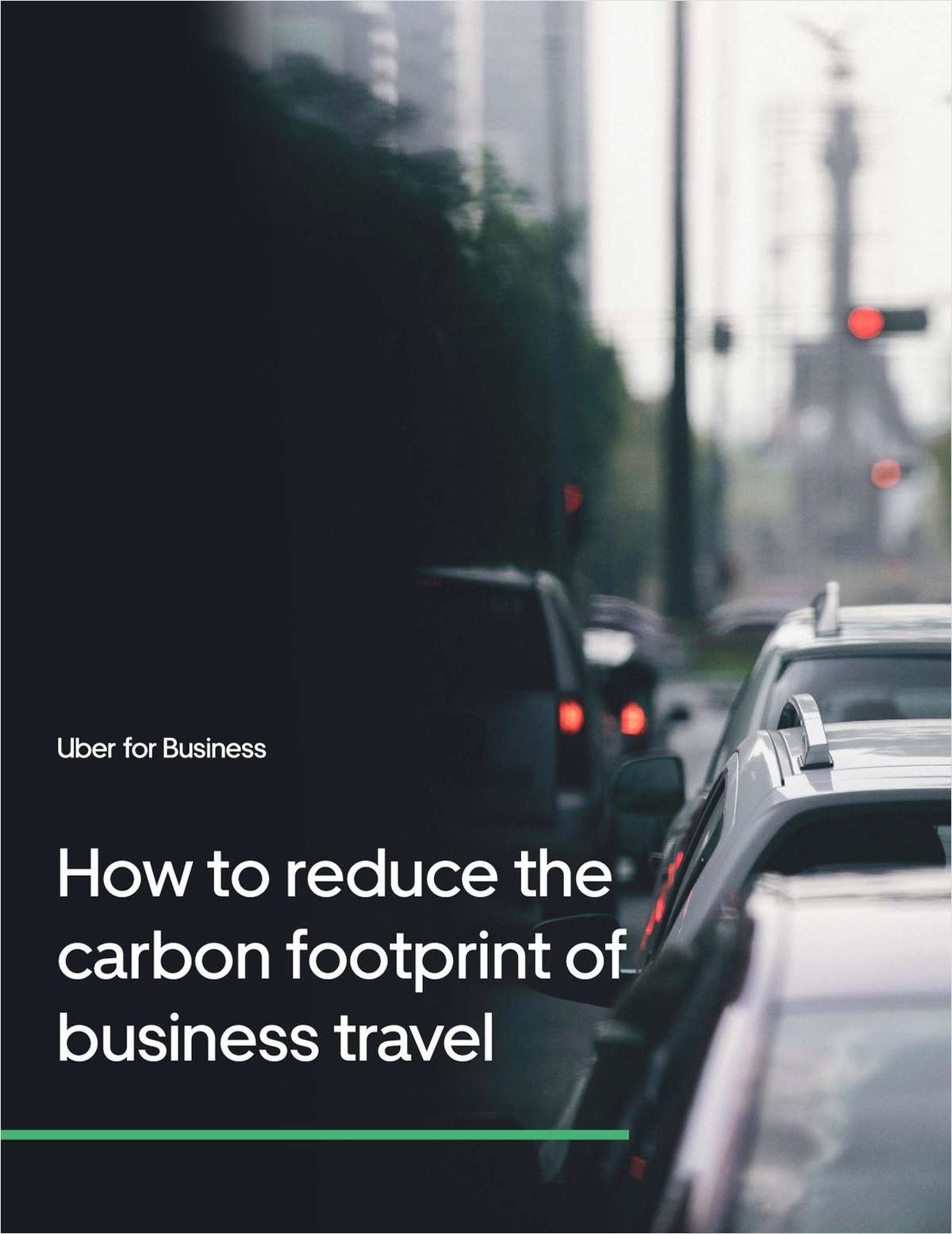 How to reduce the carbon footprint of business travel