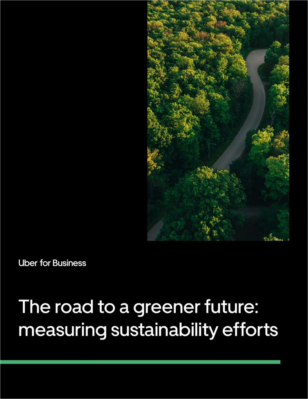 The road to a greener future: measuring sustainability efforts