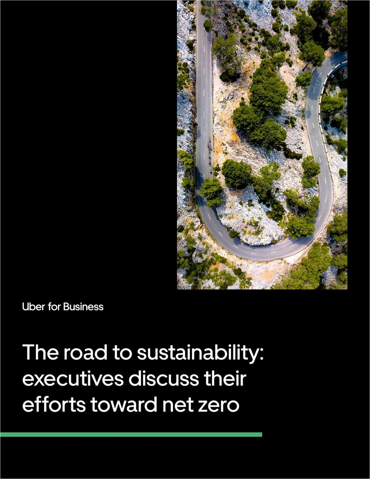 The road to sustainability: executives discuss their efforts to net-zero