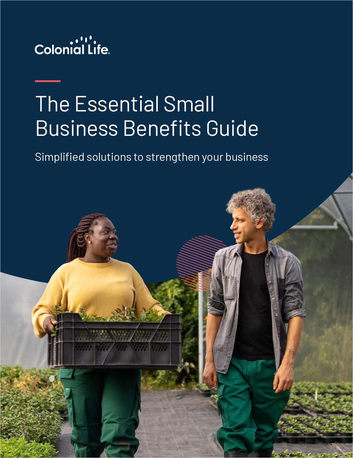 The Essential Small Business Benefits Guide