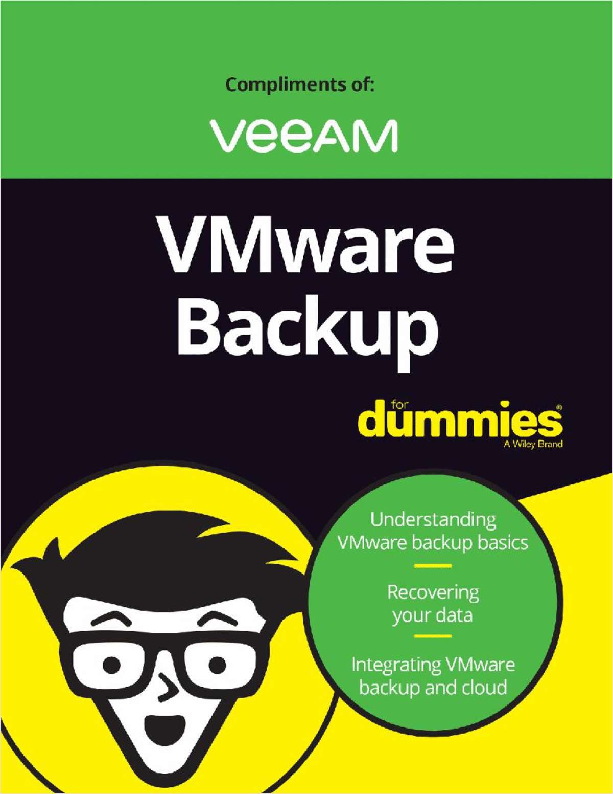 VMware Backup For Dummies