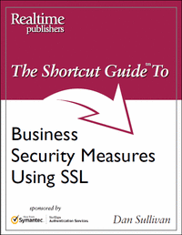 The Shortcut Guide to Business Security Measures Using SSL