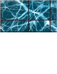 Architecting AI at Scale: Networking Lessons from Industry Leaders