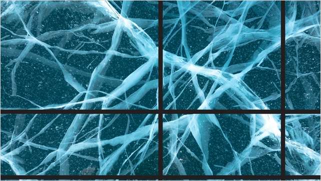 Architecting AI at Scale: Networking Lessons from Industry Leaders