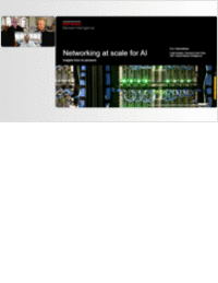 Networking at scale for AI - Insights from AI pioneers