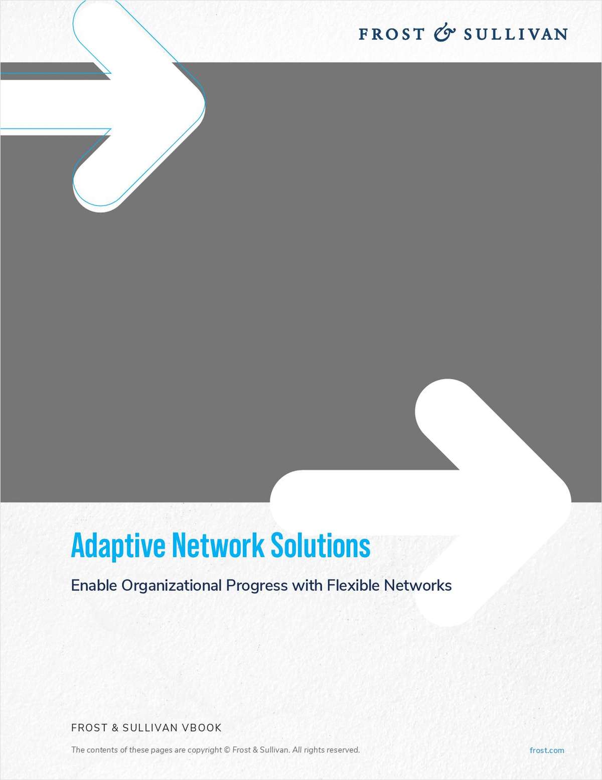 Adaptive Network Solutions: Enable Organizational Progress with Flexible Networks
