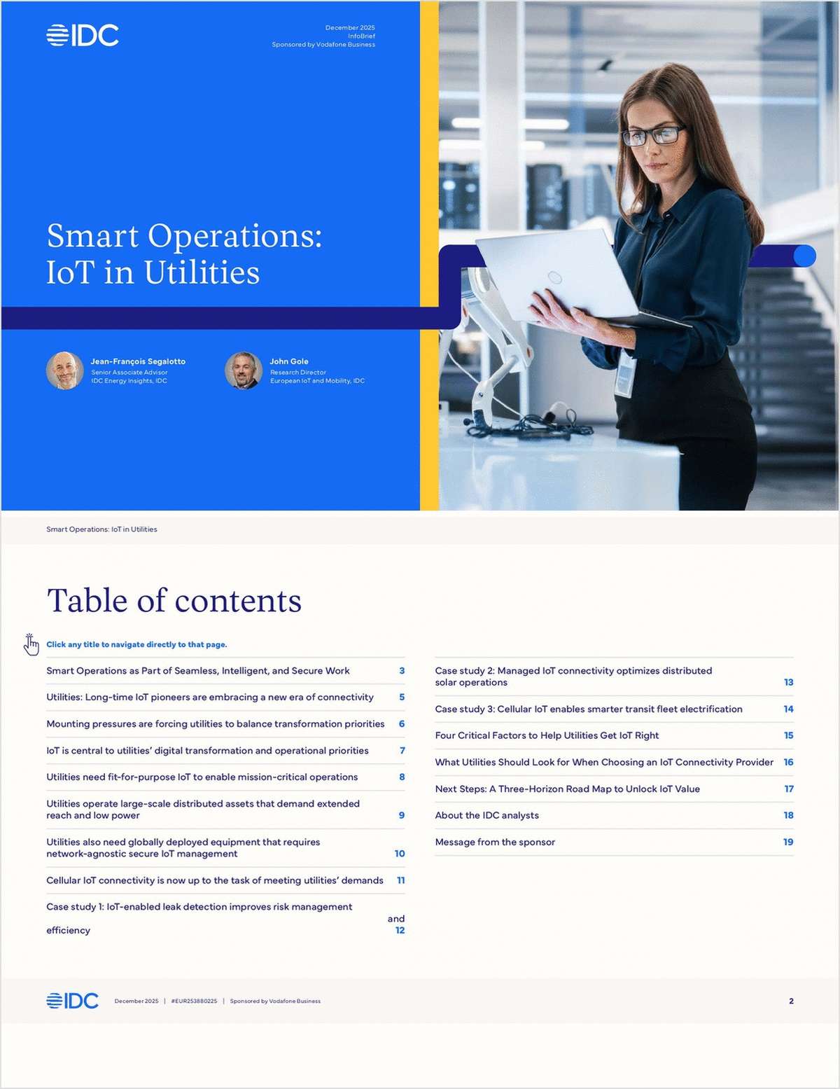 Smart Operations: IoT in Utilities