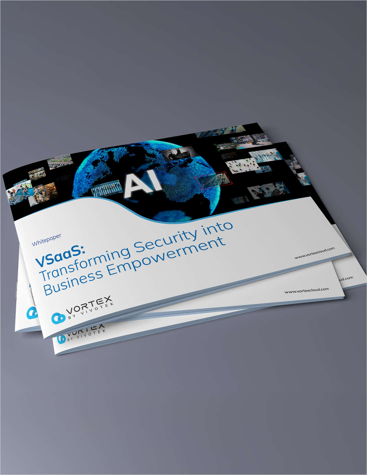 VSaaS:Transforming Security into Business Empowerment