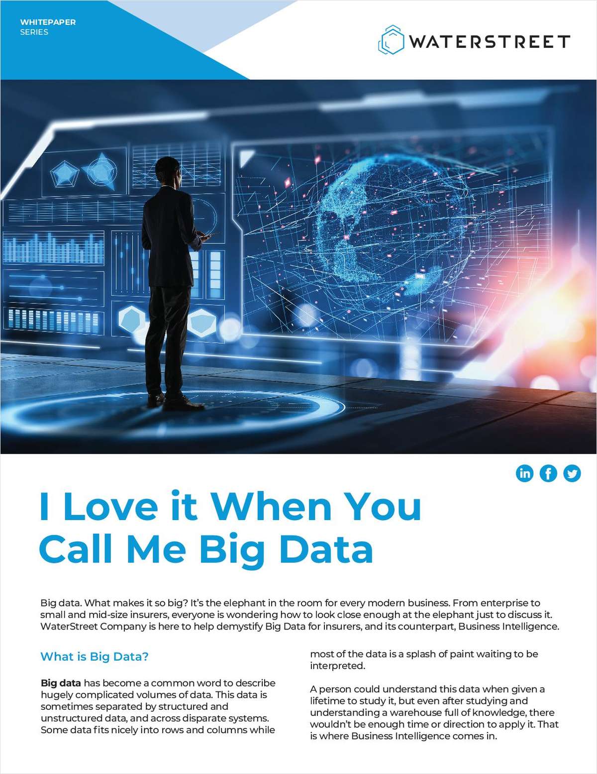 I Love It When You Call Me Big Data: Demystifying Business Intelligence