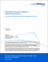 Website Security Statistics Report