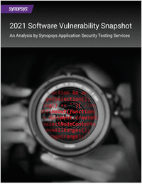 Software Vulnerability Snapshot Report