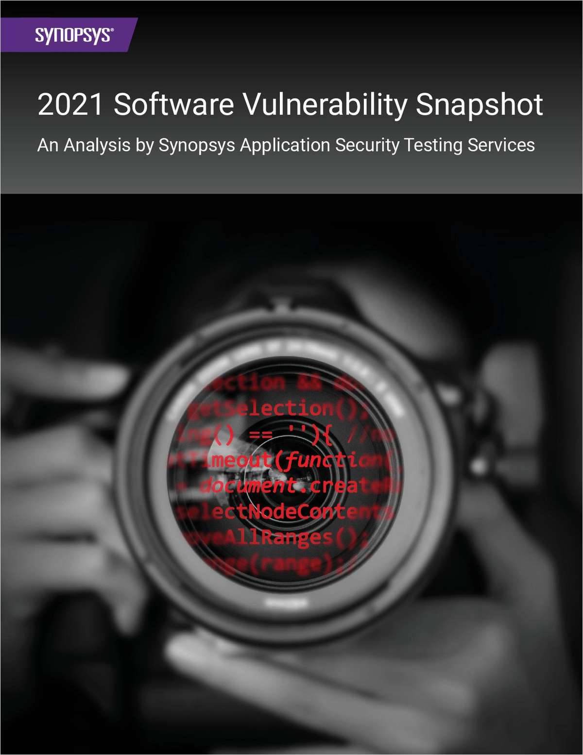 Software Vulnerability Snapshot Report