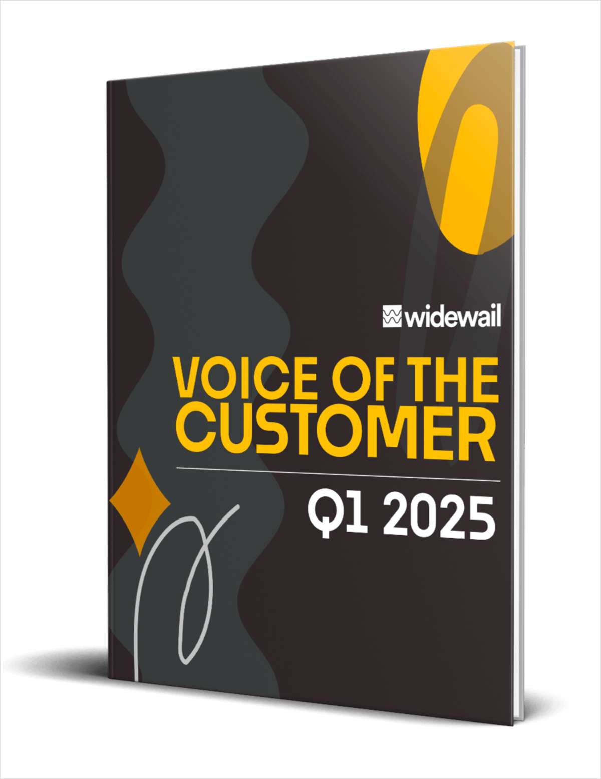 Voice of the Customer - Q1 2025