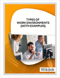 7 Types of Work Environments (With Examples)