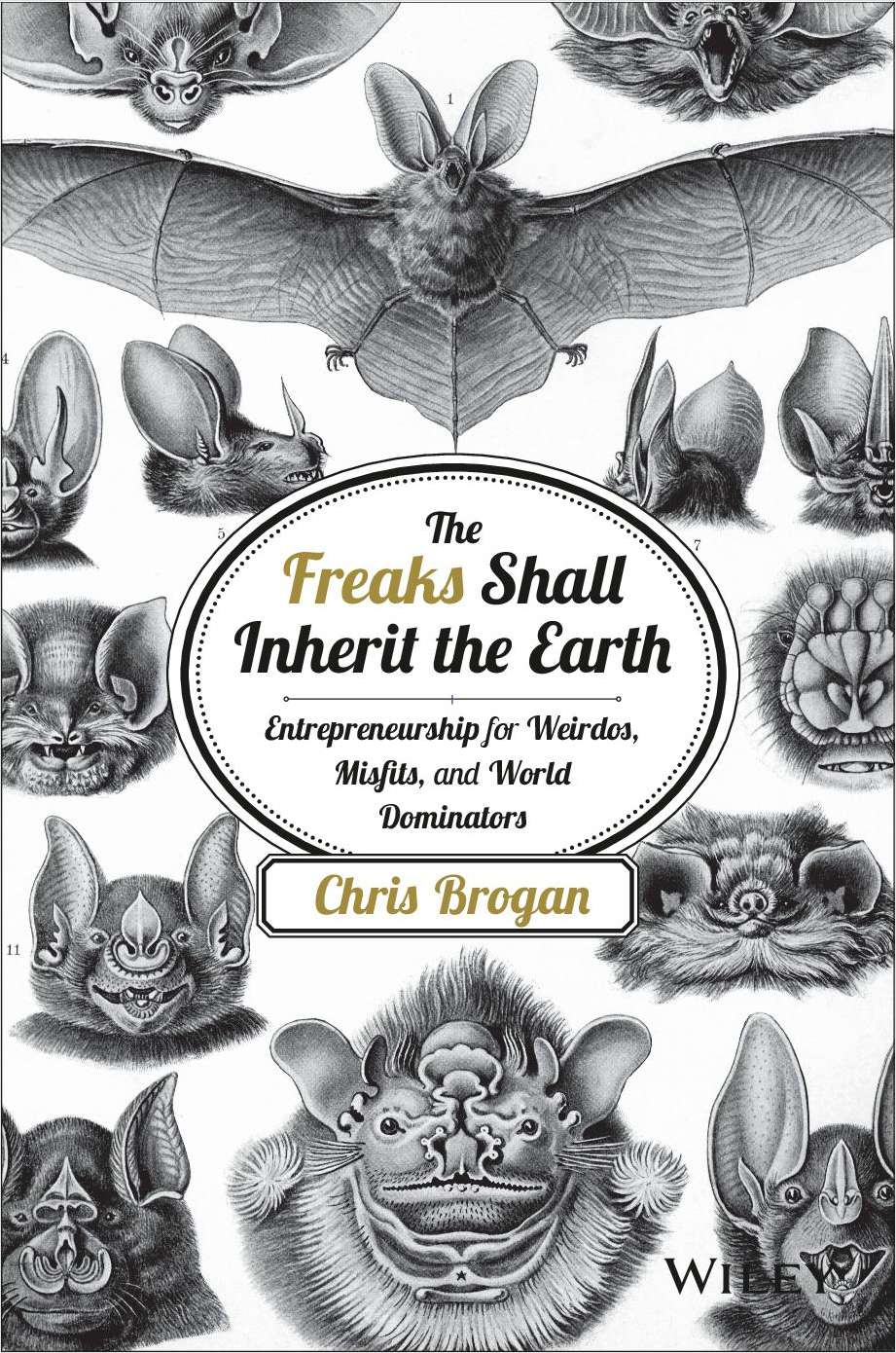 The Freaks Shall Inherit the Earth: Entrepreneurship for Weirdos, Misfits, and World Dominators--Free Sample Chapter