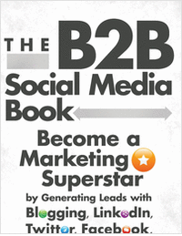 The B2B Social Media Book: Becoming a Marketing Superstar - Free Sample Chapter