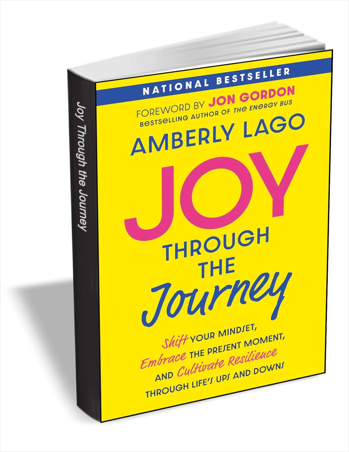 Joy Through the Journey: Shift Your Mindset, Embrace the Present Moment, and Cultivate Resilience Through Life's Ups and Downs ($17.00 Value) FREE for a Limited Time