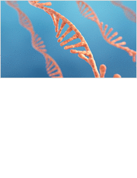 Next-Generation RNA Technologies
