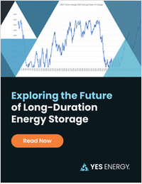 Exploring the Future of Long-Duration Energy Storage