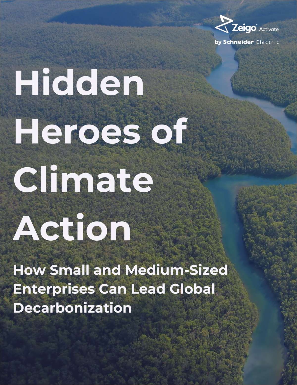 Hidden Heroes of Climate Action: How Small and Medium-Sized Enterprises (SMEs) Can Lead Global Decarbonization