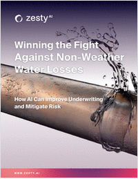Winning the Fight Against Non-Weather Water Losses with AI