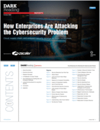 How Enterprises Are Attacking the Cybersecurity Problem Report